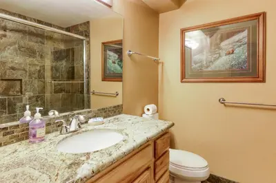 a bathroom with a sink and a shower and a toilet at Gentian Family Retreat in South Lake Tahoe