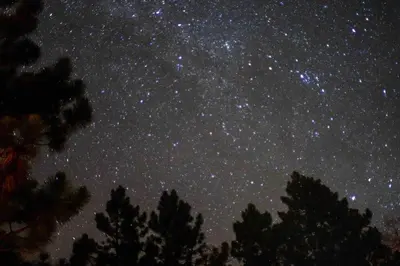 a star filled night sky with trees in the foreground at Glamping Dome 1 - 10 minutes from Kings Canyon in Dunlap