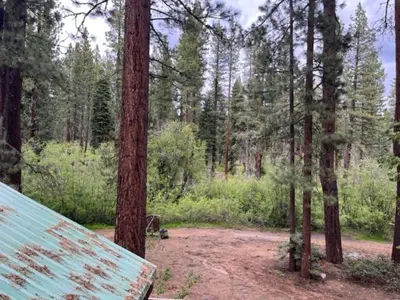 a picnic table in the middle of a forest at Cabin in the Woods in Tahoe Vista