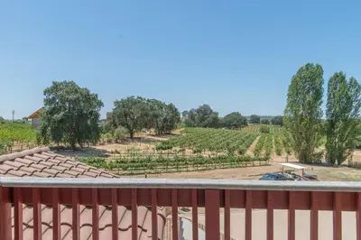 a view of a vineyard from a balcony at Balcony Suite 2 Fraser Family Vineyard Stay in Amador in Plymouth