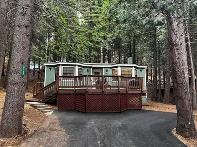 a house sitting in the middle of a forest at Cedar Oasis - Pet Friendly Cabin w Fireplace, Games and Wifi - 5 min to Big Trees in Arnold