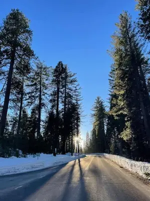 an empty road with trees and snow on it at Cedar Oasis - Pet Friendly Cabin w Fireplace, Games and Wifi - 5 min to Big Trees in Arnold