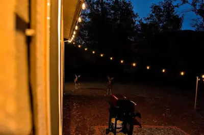 a view from a window of a building with lights at Yosemite's Scenic Hideaway in Midpines