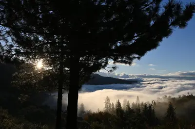 a view of a foggy valley with a tree at Enchanted Forest Dome ,10-15 minutes to Kings Canyons-New pellet stove for cozy warm nights in Dunlap