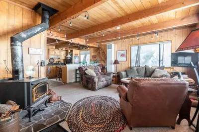 a living room with a couch and a fireplace at Quaint Cabin in Serene Lakes - Close to Skiing! in Soda Springs