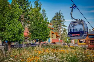 a gondola ride over a field of flowers at Making Waves, Unit B in Stateline