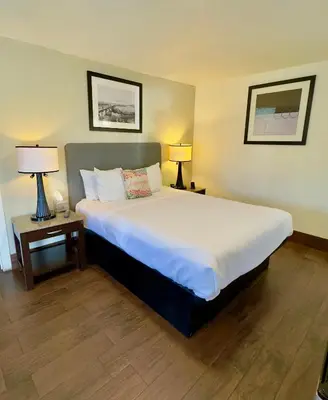 a bedroom with a large white bed with two lamps at Budget Motel in Gilroy