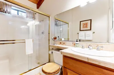 a bathroom with a sink and a shower and a toilet at Cardinal's Nest in Groveland