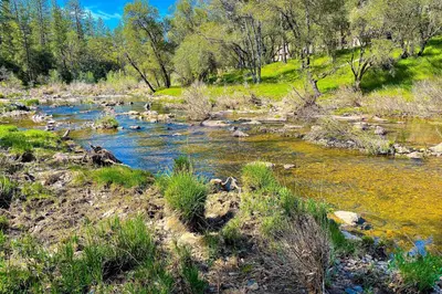 a stream of water with rocks in a field at Cardinal's Nest in Groveland