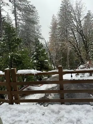 a wooden fence covered in snow next to trees at WHouse*HotTub*Sleeps20*BLS*FirePit*AC&Heat*DogsOk in Arnold