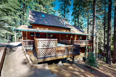 a log cabin in the middle of a forest at Hot Tub Hideaway in Dorrington