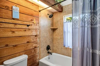 a bathroom with a toilet and a shower curtain at Kathy's Korner - Pet Friendy with Large Deck! home in Groveland