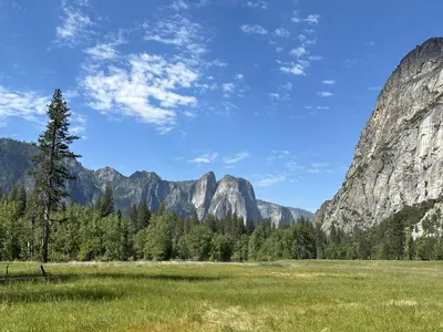 a field with a tree and mountains in the background at Cozy Yosemite Family Retreat-13mi to South Gate in Oakhurst
