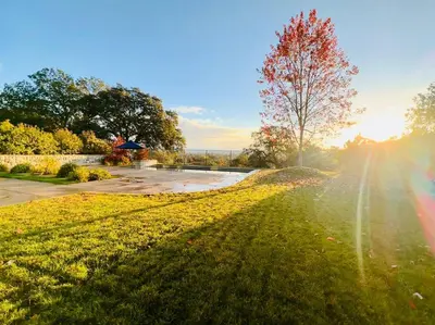 a grassy field with a tree and the sun shining at Sunrise View in Rocklin