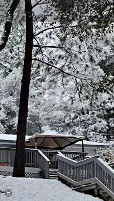 an umbrella sitting on a deck in the snow at Home in Groveland near Yosemite NP in Groveland