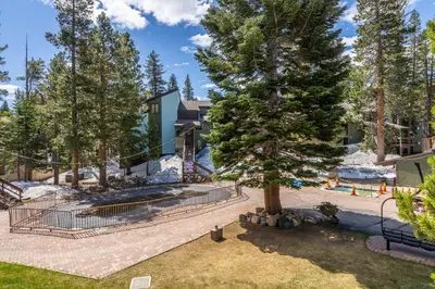a tree in the yard of a house at Fully Renovated! St Anton #17 Ski in Ski Out 1 Bedroom 1 Bathroom Condo! Sleeps up to 4! in Mammoth Lakes