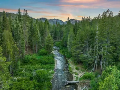 an aerial view of a river in a forest at Creekside Retreat - Near Palisades Tahoe in Olympic Valley