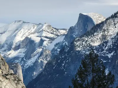a snow covered mountain with a tree in the foreground at Loyah Cabin in Ahwahnee