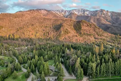 an aerial view of a forest of trees and mountains at Camp Nelson Lodge Room 9 in Ponderosa
