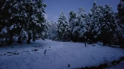 a snow covered field with trees and a parking meter at Starlink Mariposa Yosemite mountain retreat in Mariposa