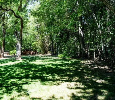 a field of grass with trees in a park at Truckee River Ranch in Reno