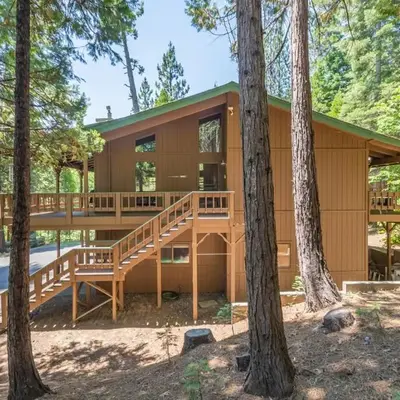 Forest Haven
