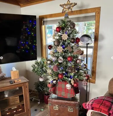 a christmas tree in a living room next to a window at Buckeye Bear's Den-AC-Walking Distance to town in Shaver Lake