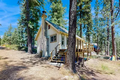 a tiny house in the woods with a tree at 10 Mi to Bear Valley Resort Serene Mtn Retreat in Tamarack
