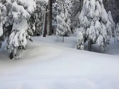 a snow covered yard with trees covered in snow at HighlandHouse in Arnold