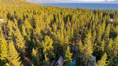 an aerial view of a forest of trees next to the water at Speckled by AvantStay Modern Interior 0.5mi to Lake in Kings Beach
