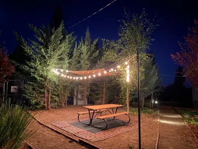 a picnic table with a string of lights over it at The Hilltop Cabin Retreat in Bass Lake Heights in Oakhurst