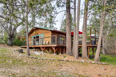a wooden cabin in the woods with trees at Peaceful Wooden Cabin, 2 Mi to Bass Lake! in Oakhurst