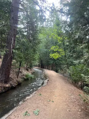 a dirt road next to a river with trees at Sierra Haus Cottage with Private Lake Access in Sonora