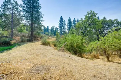 a dry grass field with trees in the background at Rustic Cabin with Patio 8 Mi to Kings Canyon Park in Miramonte
