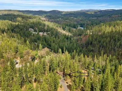 an aerial view of a forest of trees at Hathaway Hideaway Loft Apartment in Hathaway Pines