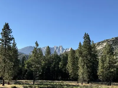 a group of trees with mountains in the background at Peppermint Falls Ranch in Ponderosa