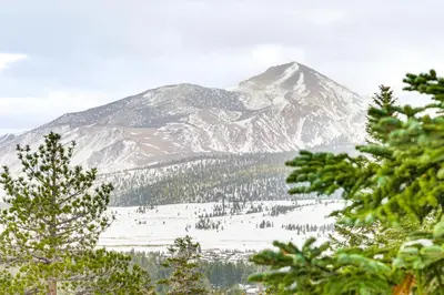 a snow covered mountain with trees in the foreground at Walk to Ski Lift Mtn-View Condo in Mammoth Lakes in Mammoth Lakes