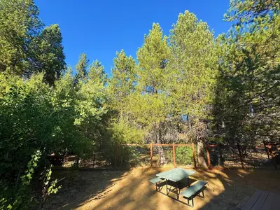 a picnic table and bench in the middle of trees at Spacious family home on the Meadow Monthly Only in South Lake Tahoe