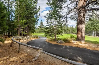 a winding road in a forest with trees at Solstice 17 in Mammoth Lakes