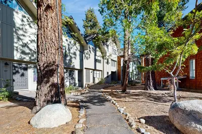 a group of trees in front of a building at Tahoe Tranquility in Incline Village