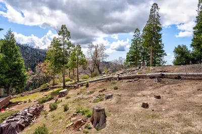 a grassy hill with trees on top of it at Yosemite Summit & Little Summit in Yosemite West