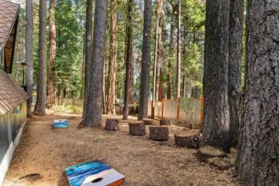 a backyard with a bunch of trees and a fence at The Sugar Pine Speakeasy in Homewood