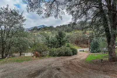 a dirt road with a tree on the side at Sequoia TREE HOUSE light andbright in Three Rivers