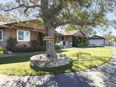 a tree in a circle of grass in front of a house at Yosemite Mountain Top Retreat Hilltop Manor Pool Spa in Mariposa