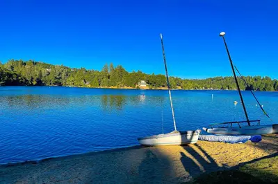two boats sitting on the shore of a lake at Green Abode in Groveland
