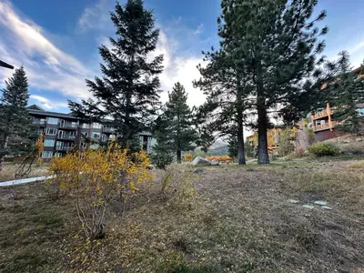 a field with trees and a building in the background at Juniper Springs Lodge #246 condo in Mammoth Lakes