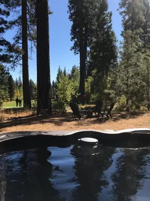a pool of water with a picnic table and trees at Happy Cabin Near Snow and Lake with Hot Tub, Dogs OK in Tahoe Vista