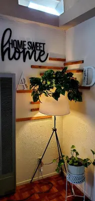 a lamp with a potted plant in a room at Secret Oasis in Sacramento! in Sacramento