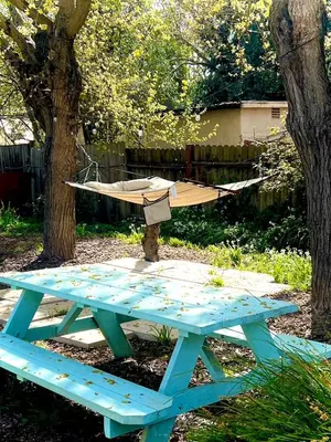 a picnic table with a hammock on top of it at 2 Private Bedroom Suites with Hot Tub in Sacramento