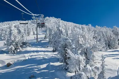 a ski lift with trees covered in snow at La Residence M9 in Mammoth Lakes